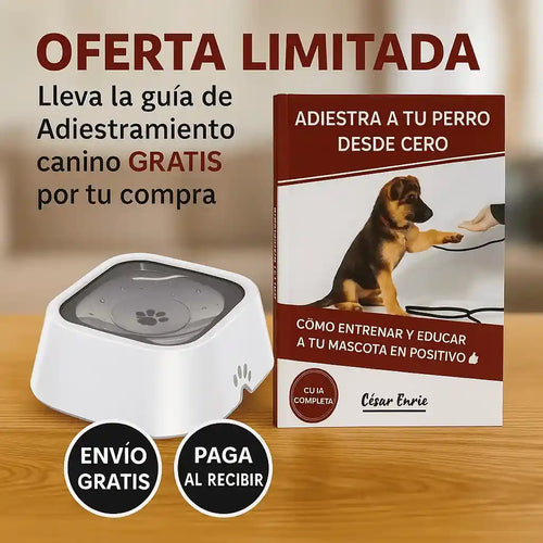 Bebedero Antiderrame Inteligente